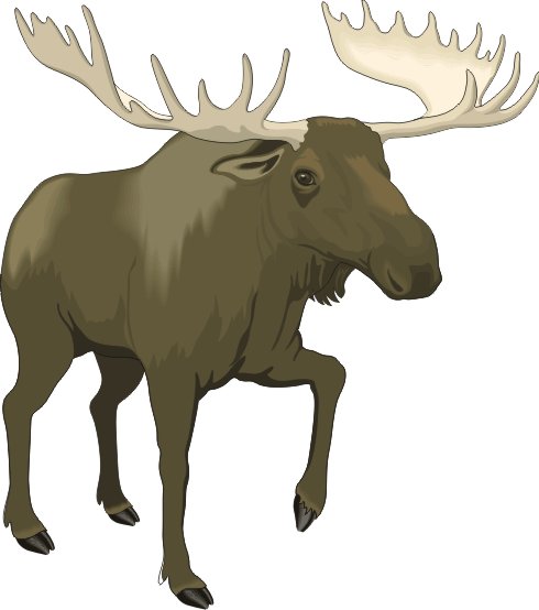 funny moose clipart - photo #45